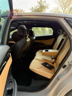 شانجان يوني في